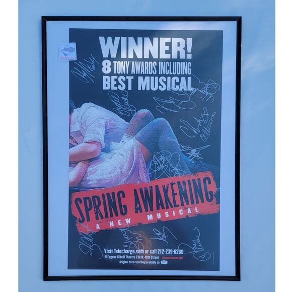 Spring Awakening Broadway Musical Cast Signed 14"x22" Framed Window Card No COA - Picture 1 of 9